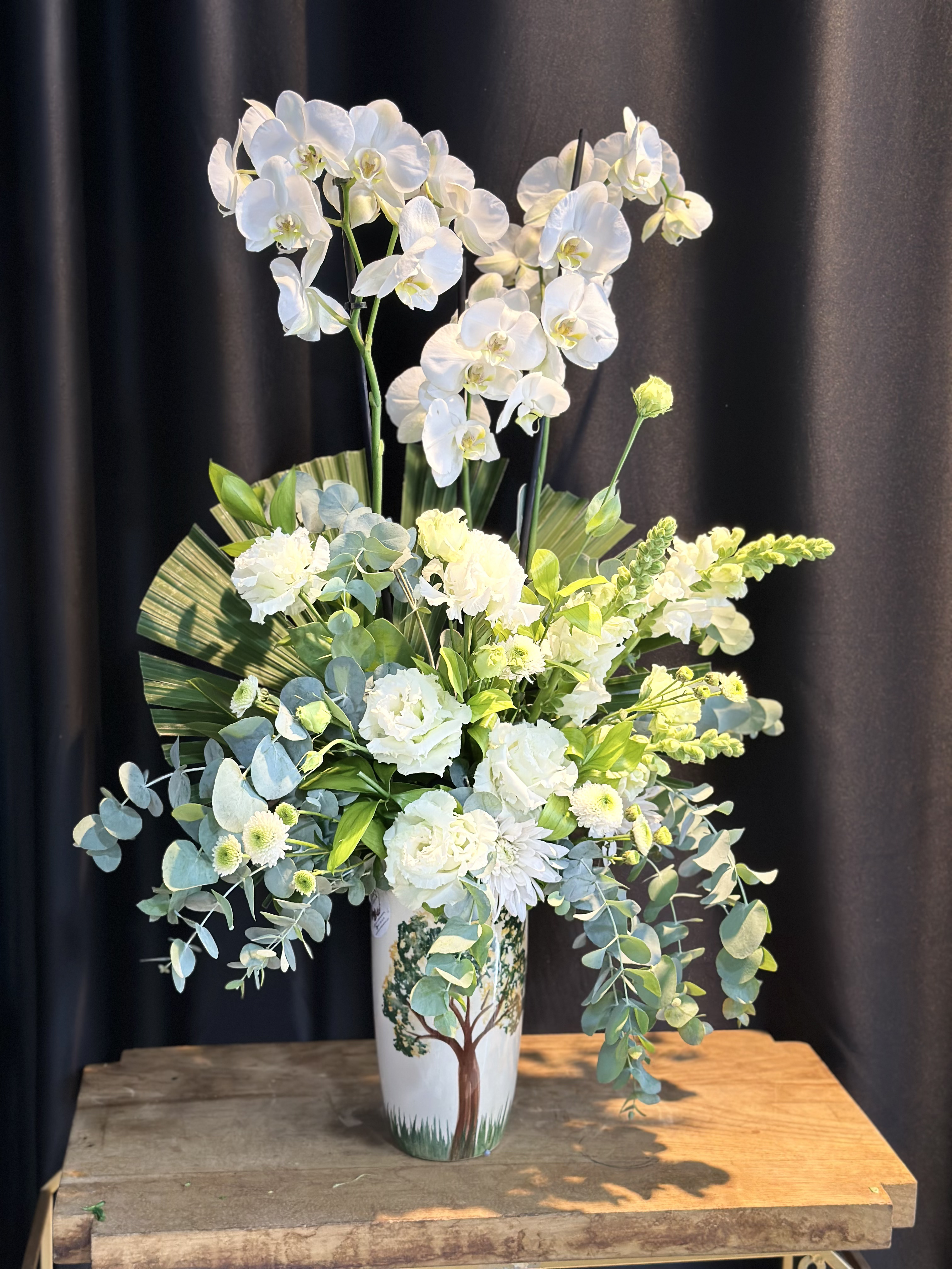 orchids selection
